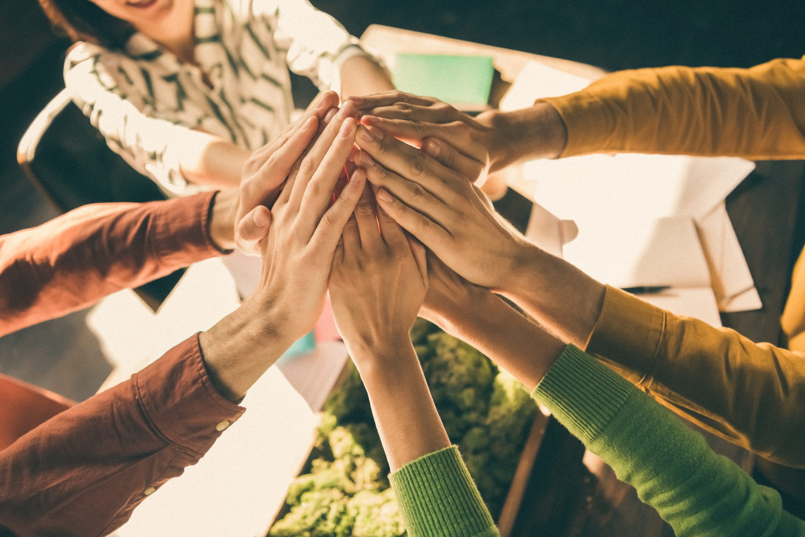 Female-Led Team Managing $800MM Joins Insigneo From Wells Fargo
